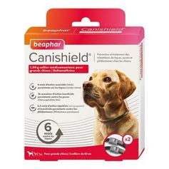 COLLIER CANISHIELD GRAND CHIEN X2