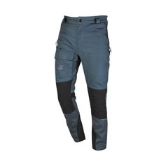 PANTALON DE TRAVAIL WORKFLEX GRIS